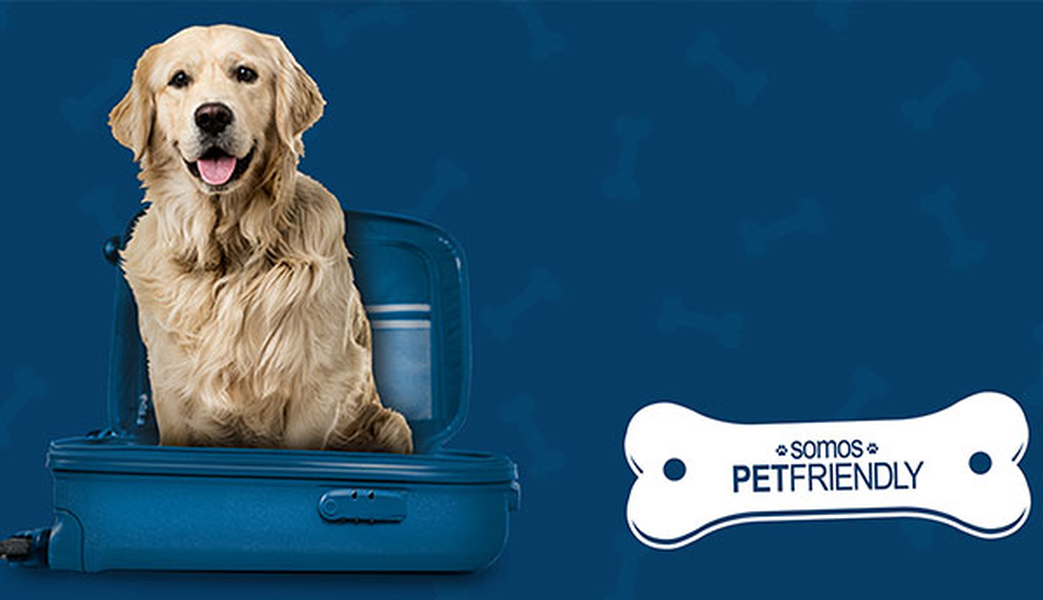 ¿quieres viajar con tu mascota? Hotel ILUNION Bilbao