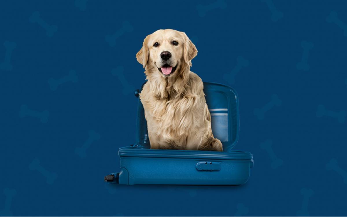 Somos pet friendly Hotel ILUNION Bilbao Somos pet friendly Hotel ILUNION Bilbao